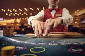 44bet